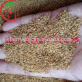 Semillas de Goji Berry para plantar / NQ-01 / NQ-07 / NQ-09 semillas de goji